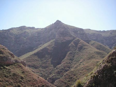 PICT0295.JPG