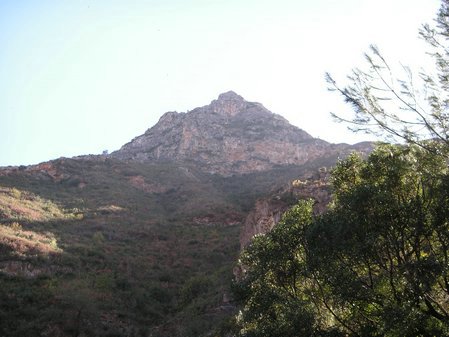 PICT0311.JPG