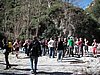 PICT0260.JPG