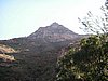 PICT0311.JPG