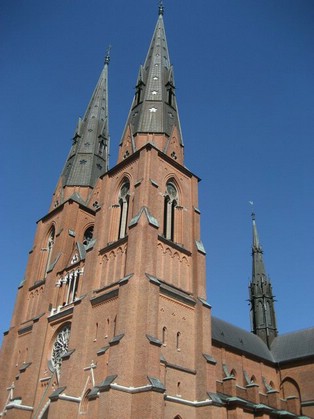 IMG_5071.JPG