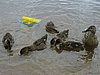 IMG_5351 - Ander.JPG
