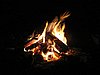 IMG_5872.JPG