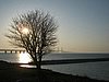IMG_4245.JPG