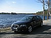 IMG_4490 - Min kompis.JPG