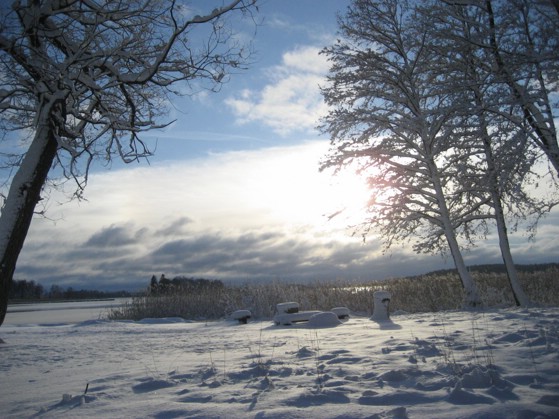 2007-01-21. Winter (bjorno, vasteras).JPG